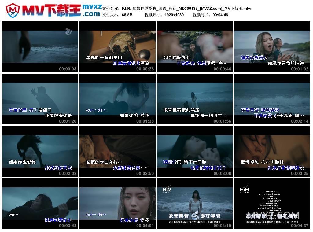 F.I.R.-如果你说爱我_国语_流行_MD300138